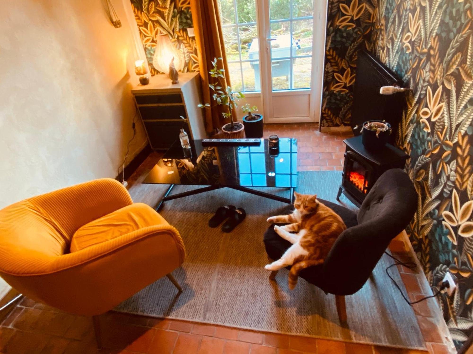 Chambre Hotes Montpinchon エクステリア 写真